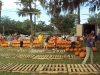 dsc04557_0