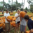 A fall tradition in San Marco continued this weekend as Southside United Methodist Church (SUMC) received their first shipment of pumkins for the Pumpkin Patch!  The pumpkins were shipped all...