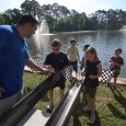 SMPS Raingutter Regatta Photos