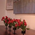 SHARING TABLES By: Cindy Graves Recently Kevin Byrnes, proprietor of Woodside Lane, loaned some of his gorgeous tables to Southside Baptist Church for their worship dramas. Kevin’s impressive craftsmanship left...
