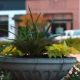 A Tip of the Hat to Robin Robinson We all know that Robin Robinson loves San Marco. She wrote The Southbank Sojourn which was published by The San Marco Preservation Society and Silent E Publishing last fall. This...