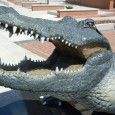 Florida got a much-needed win against Vanderbilt, and maybe found a few things on both offense and defense that could make a difference for the rest of 2011. That was...
