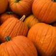 A fall tradition in San Marco continued this past weekend as Southside United Methodist Church (SUMC) received their first shipment of pumpkins for the Pumpkin Patch!  The  program serves as...