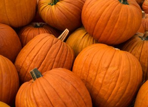 Southside United Methodist - Pumpkin Patch