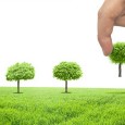 San Marco Library Celebrates Florida Arbor Day On the heals of the installation of the city’s first planned bioswale at San Marco Branch Library in mid-December, you’re invited to help recognize Florida Arbor Day with some very...