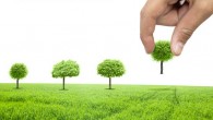 On the heals of the installation of the city’s first planned bioswale at San Marco Branch Library in mid-December, you’re invited to help recognize Florida Arbor Day with some very...