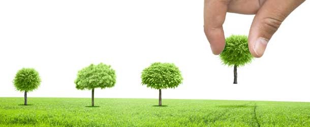 On the heals of the installation of the city’s first planned bioswale at San Marco Branch Library in mid-December, you’re invited to help recognize Florida Arbor Day with some very...