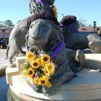 April 26-May 6th is the inaugural “Jacksonville FRENCH Week!” Look for dining and retail specials commemorating the 450th. Go to www.VisitJacksonville.com/french-week for details and a list of participating restaurants and...