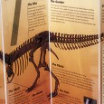 A T. Rex Named Sue Grand Opening What: A T. rex Named Sue Grand Opening When: Saturday, May 26 10 a.m. to 4 p.m. Where: MOSH 1025Museum Circle Details: Join MOSH as we celebrate the grand opening...