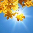 Fall Greetings from the San Marco Bookstore The summer has come and gone and according to the calendar, fall is upon us! Not wanting to be out done by all the big box stores, San Marco Bookstore is...